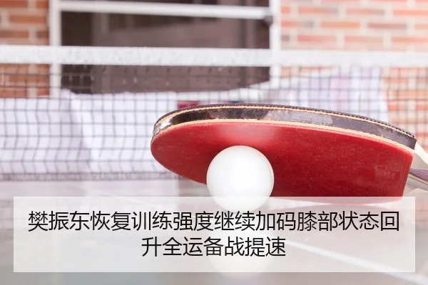 樊振东恢复训练强度继续加码膝部状态回升全运备战提速